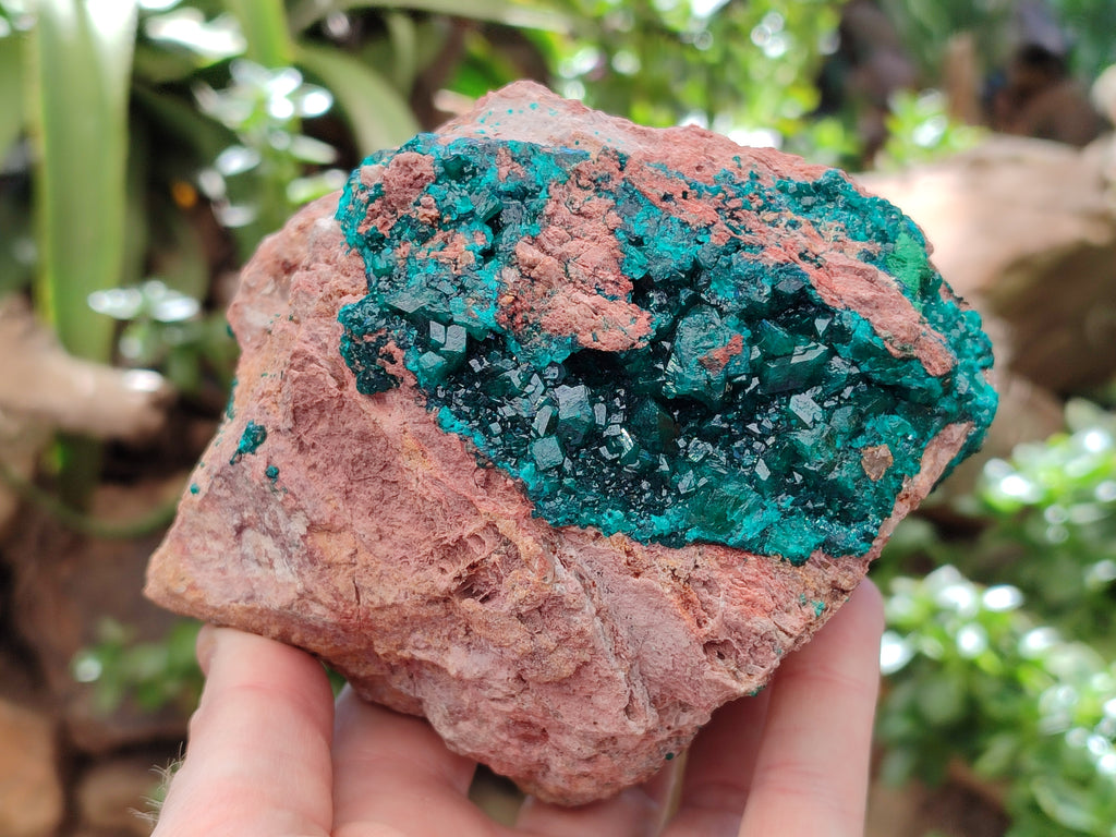 Natural Dioptase On Dolomite Specimens x 1 From Likasi, Congo - Toprock Gemstones and Minerals 