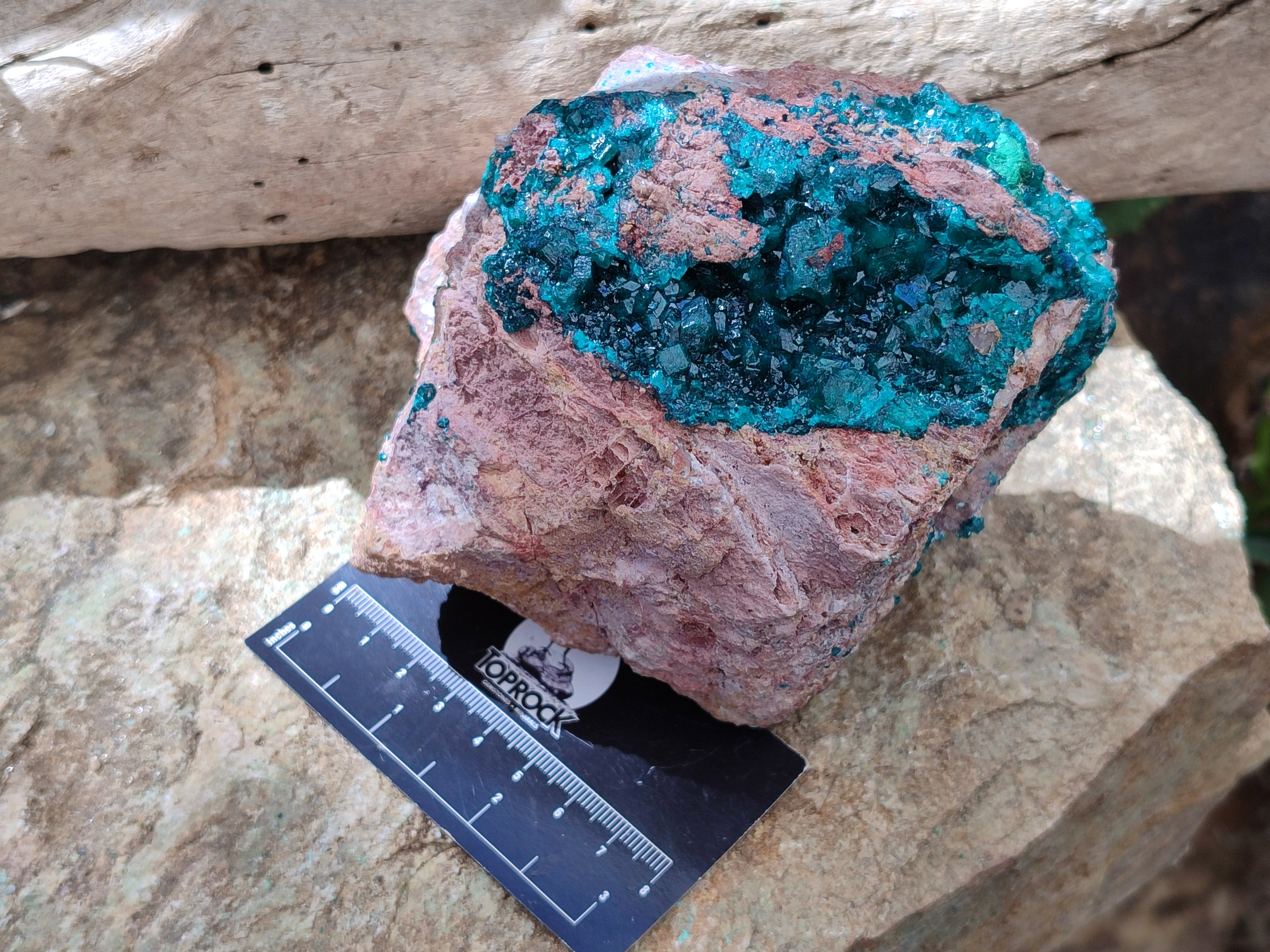 Natural Dioptase On Dolomite Specimens x 1 From Likasi, Congo - Toprock Gemstones and Minerals 