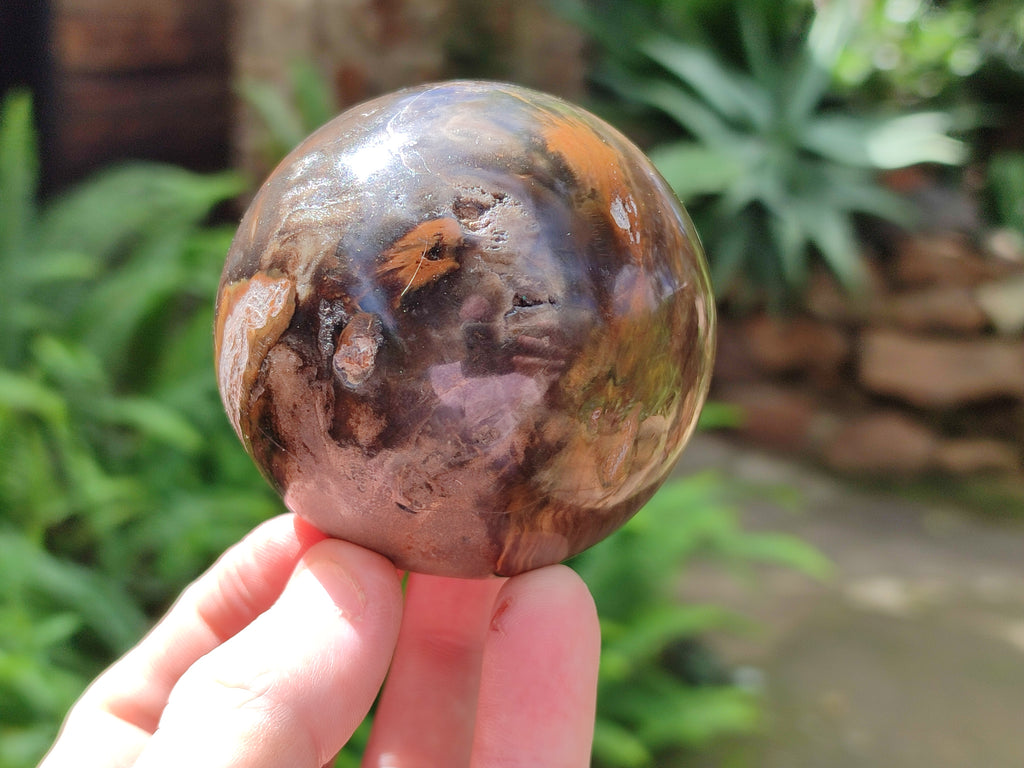 Polished Petrified Wood Spheres x 3 From Gokwe, Zimbabwe - Toprock Gemstones and Minerals 