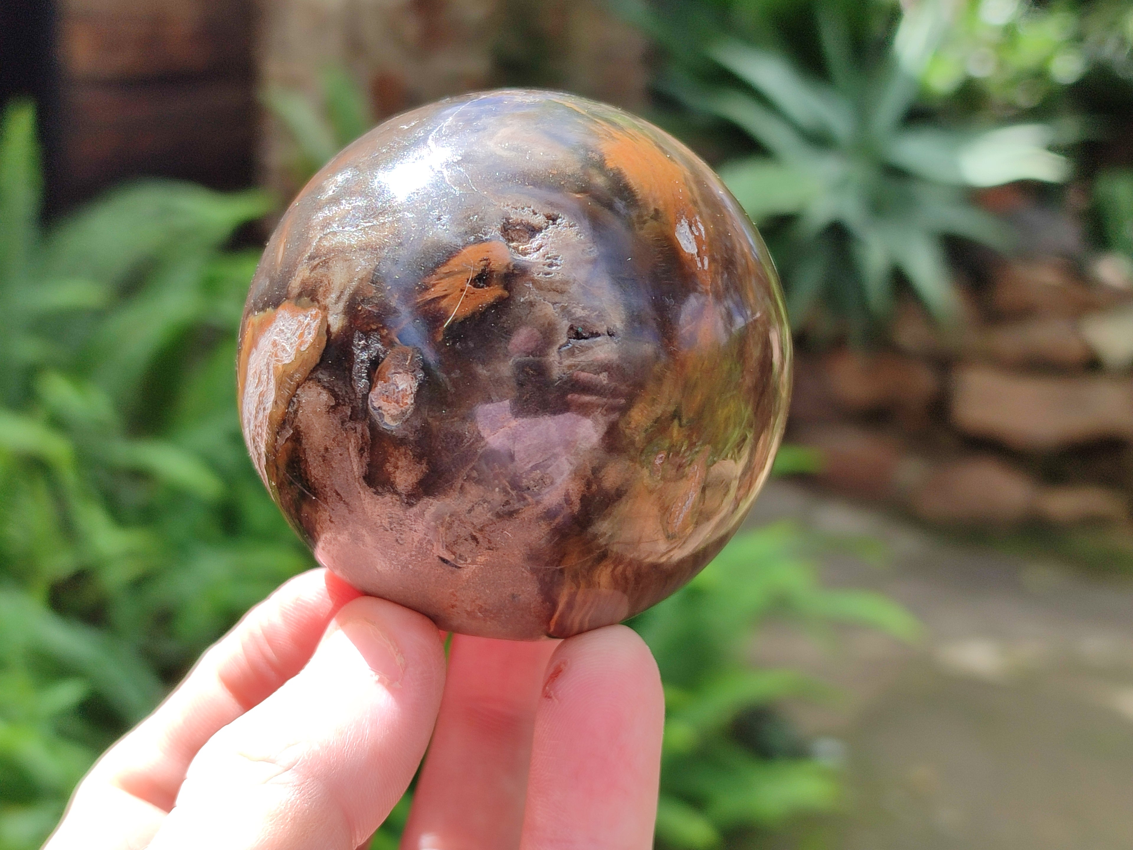 Polished Petrified Wood Spheres x 3 From Gokwe, Zimbabwe - Toprock Gemstones and Minerals 