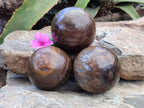 Polished Petrified Wood Spheres x 3 From Gokwe, Zimbabwe - Toprock Gemstones and Minerals 