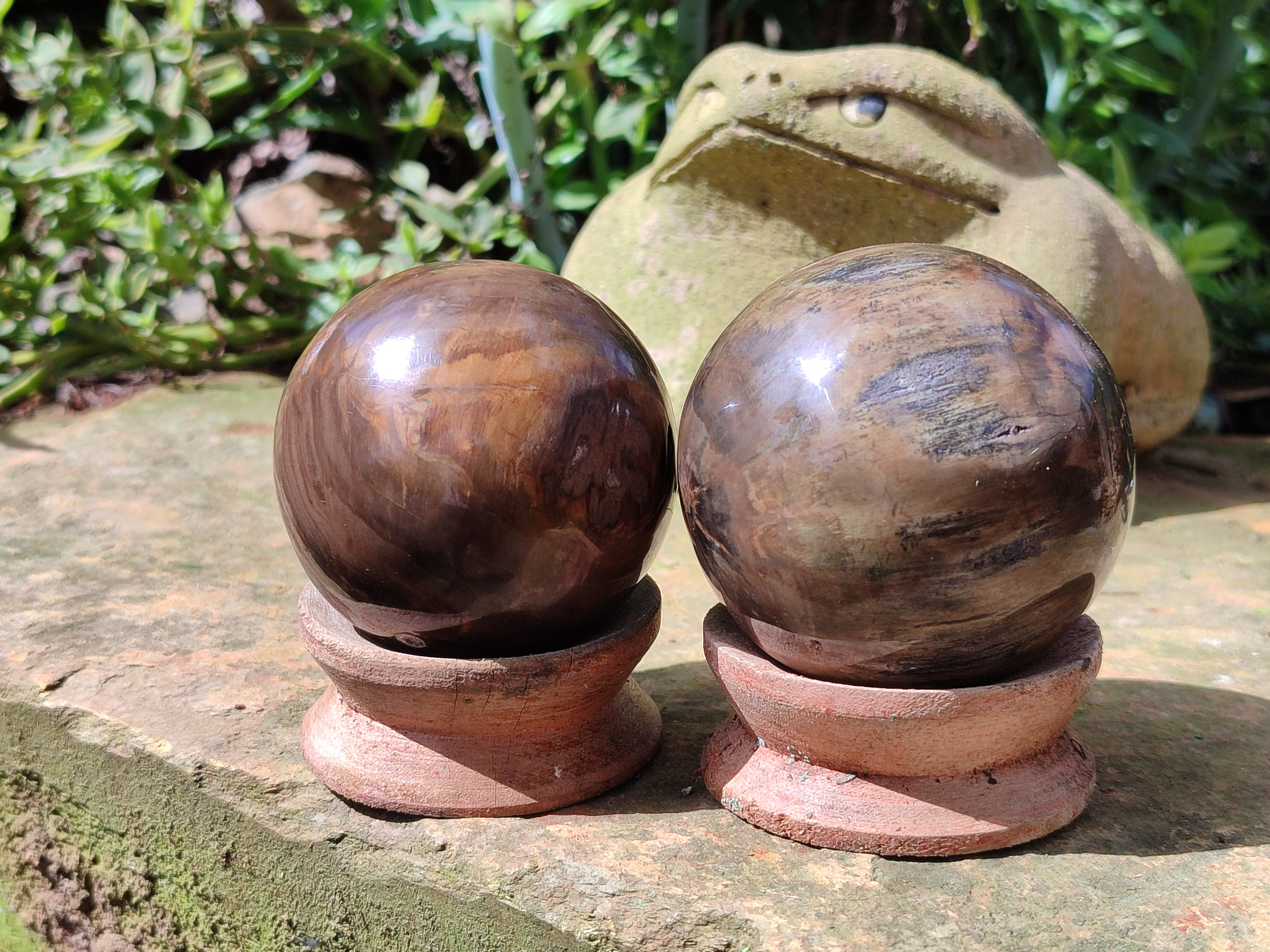Polished Petrified Wood Spheres x 3 From Gokwe, Zimbabwe - Toprock Gemstones and Minerals 
