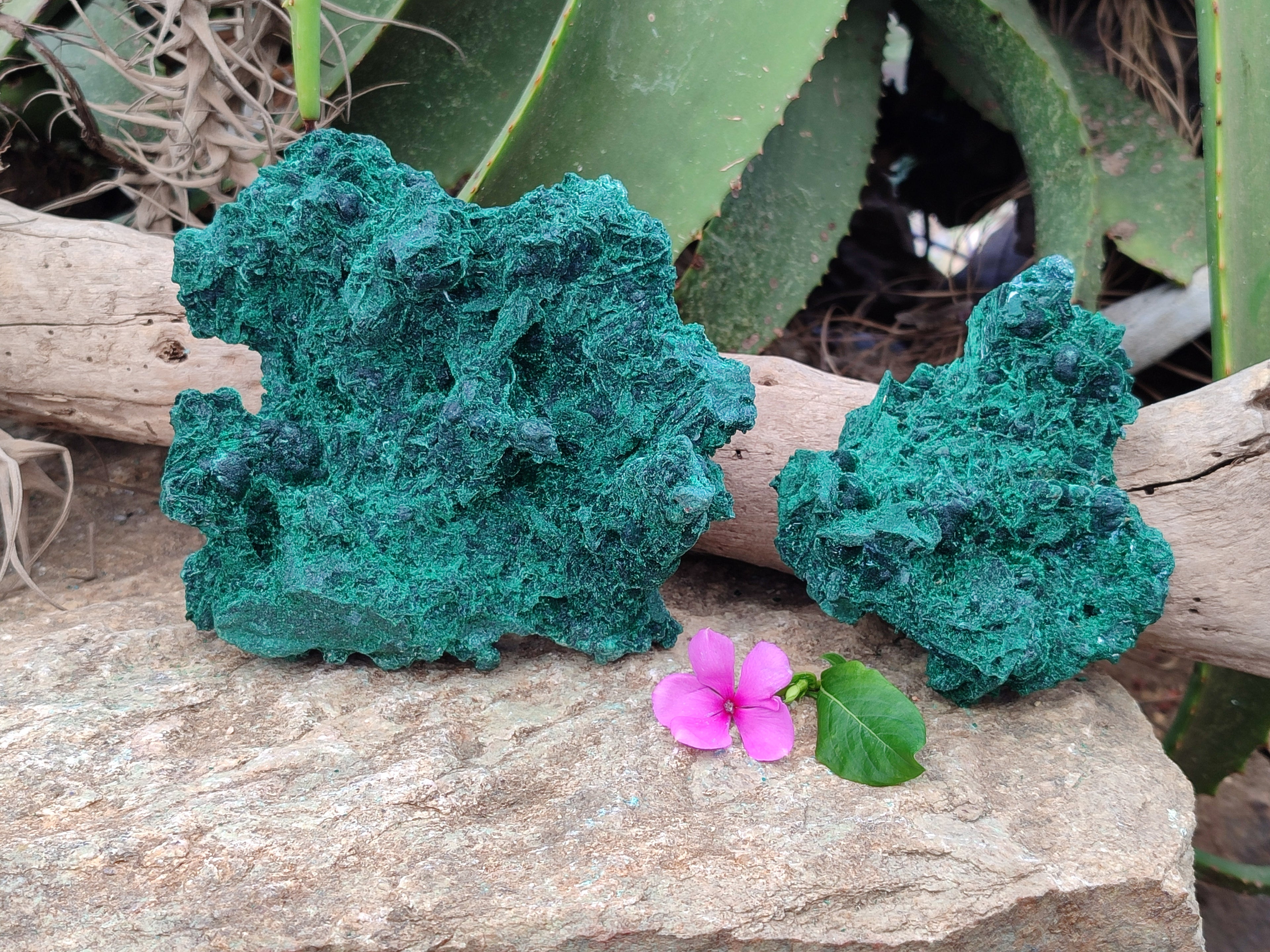 Natural Silky Malachite Specimens x 2 From Kasompe, Congo - Toprock Gemstones and Minerals 
