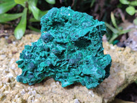 Natural Silky Malachite Specimens x 2 From Kasompe, Congo - Toprock Gemstones and Minerals 