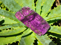 Polished On One Side Purpurite Specimens x 6 From Namibia - Toprock Gemstones and Minerals 