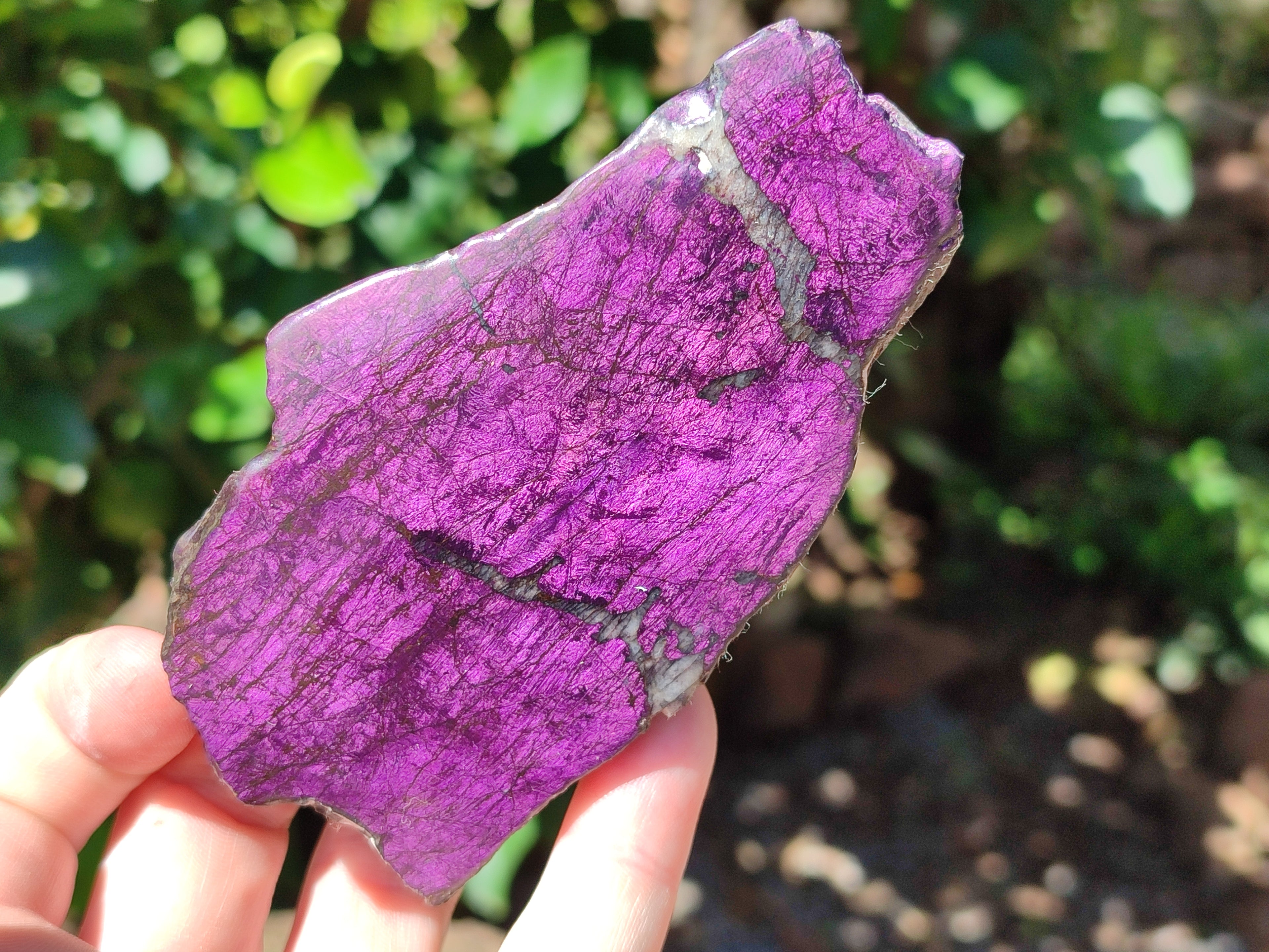 Polished On One Side Purpurite Specimens x 6 From Namibia - Toprock Gemstones and Minerals 