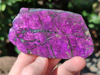 Polished On One Side Purpurite Specimens x 6 From Namibia - Toprock Gemstones and Minerals 