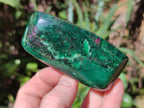 Polished Ruby Corundum In Chrome Verdite Standing Free Forms x 4 From Zimbabwe - Toprock Gemstones and Minerals 