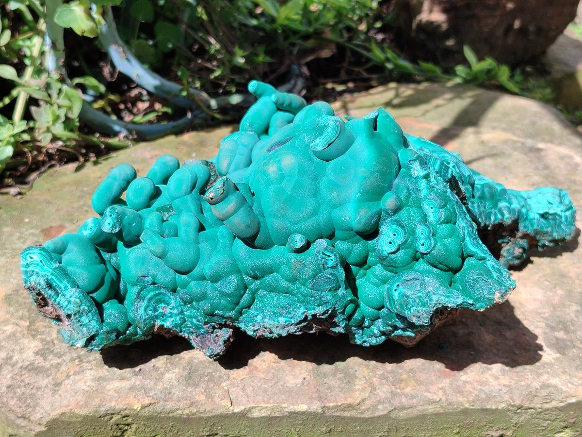 Natural Botryoidal Malachite Specimens x 1 From Congo - Toprock Gemstones and Minerals 