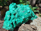 Natural Botryoidal Malachite Specimens x 1 From Congo - Toprock Gemstones and Minerals 