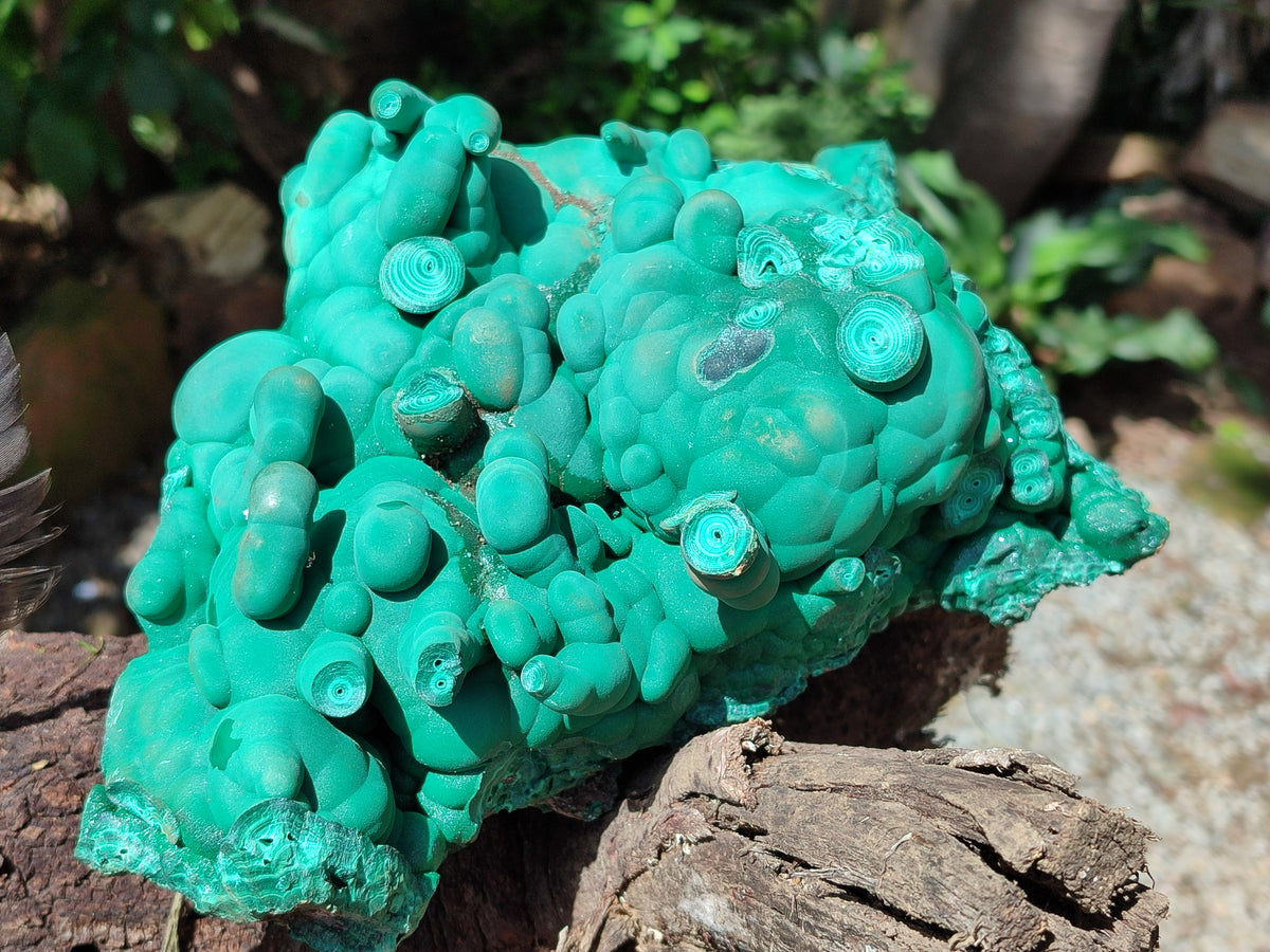 Natural Botryoidal Malachite Specimens x 1 From Congo - Toprock Gemstones and Minerals 