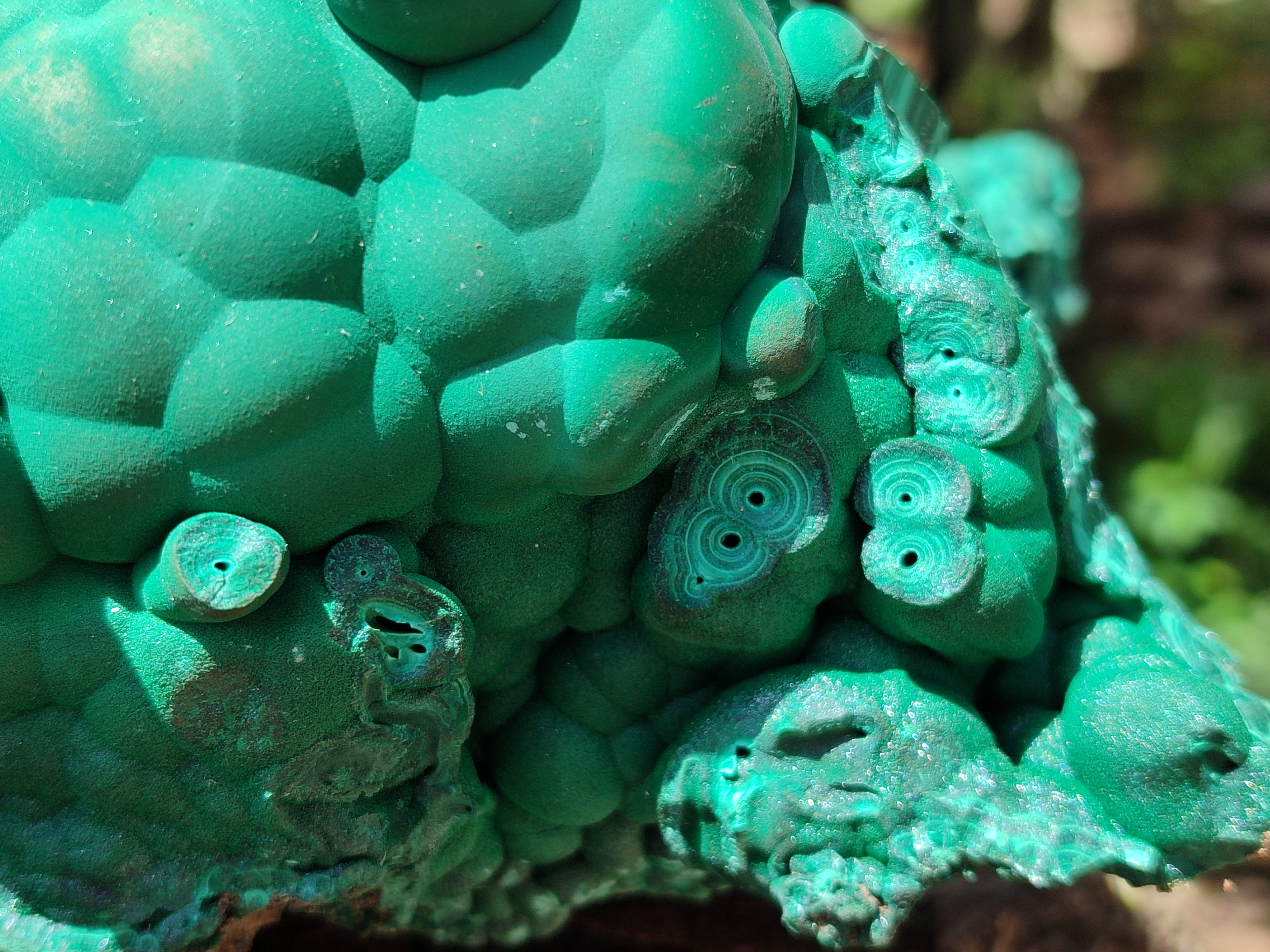 Natural Botryoidal Malachite Specimens x 1 From Congo - Toprock Gemstones and Minerals 