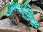 Natural Botryoidal Malachite Specimens x 1 From Congo - Toprock Gemstones and Minerals 