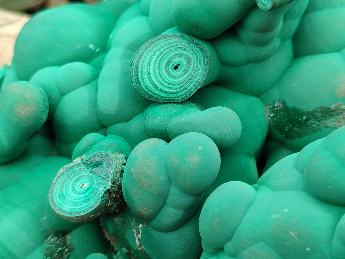Natural Botryoidal Malachite Specimens x 1 From Congo - Toprock Gemstones and Minerals 