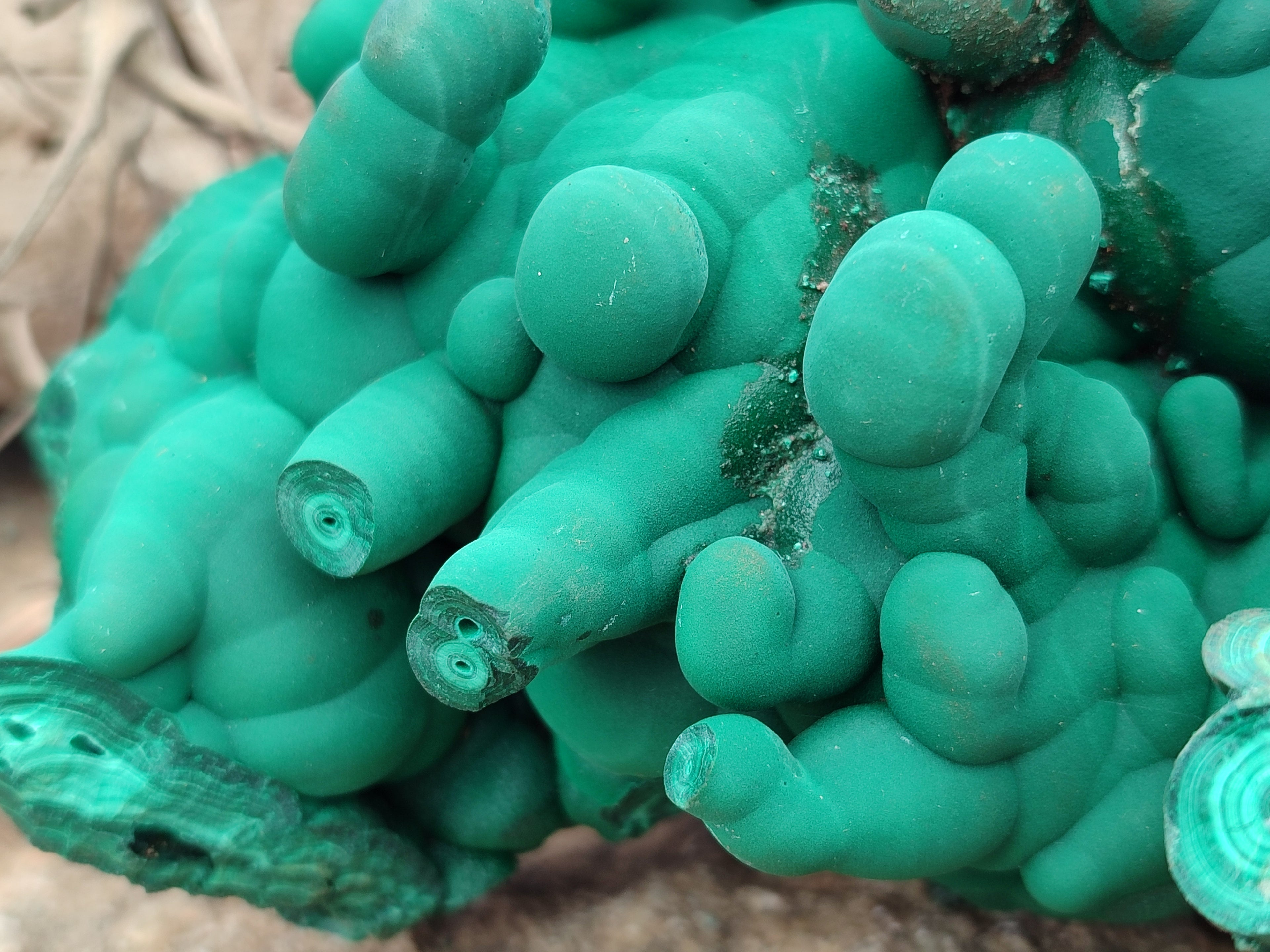 Natural Botryoidal Malachite Specimens x 1 From Congo - Toprock Gemstones and Minerals 