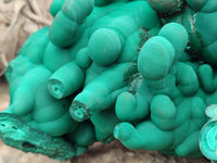 Natural Botryoidal Malachite Specimens x 1 From Congo - Toprock Gemstones and Minerals 