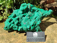 Natural Botryoidal Malachite Specimens x 1 From Congo - Toprock Gemstones and Minerals 