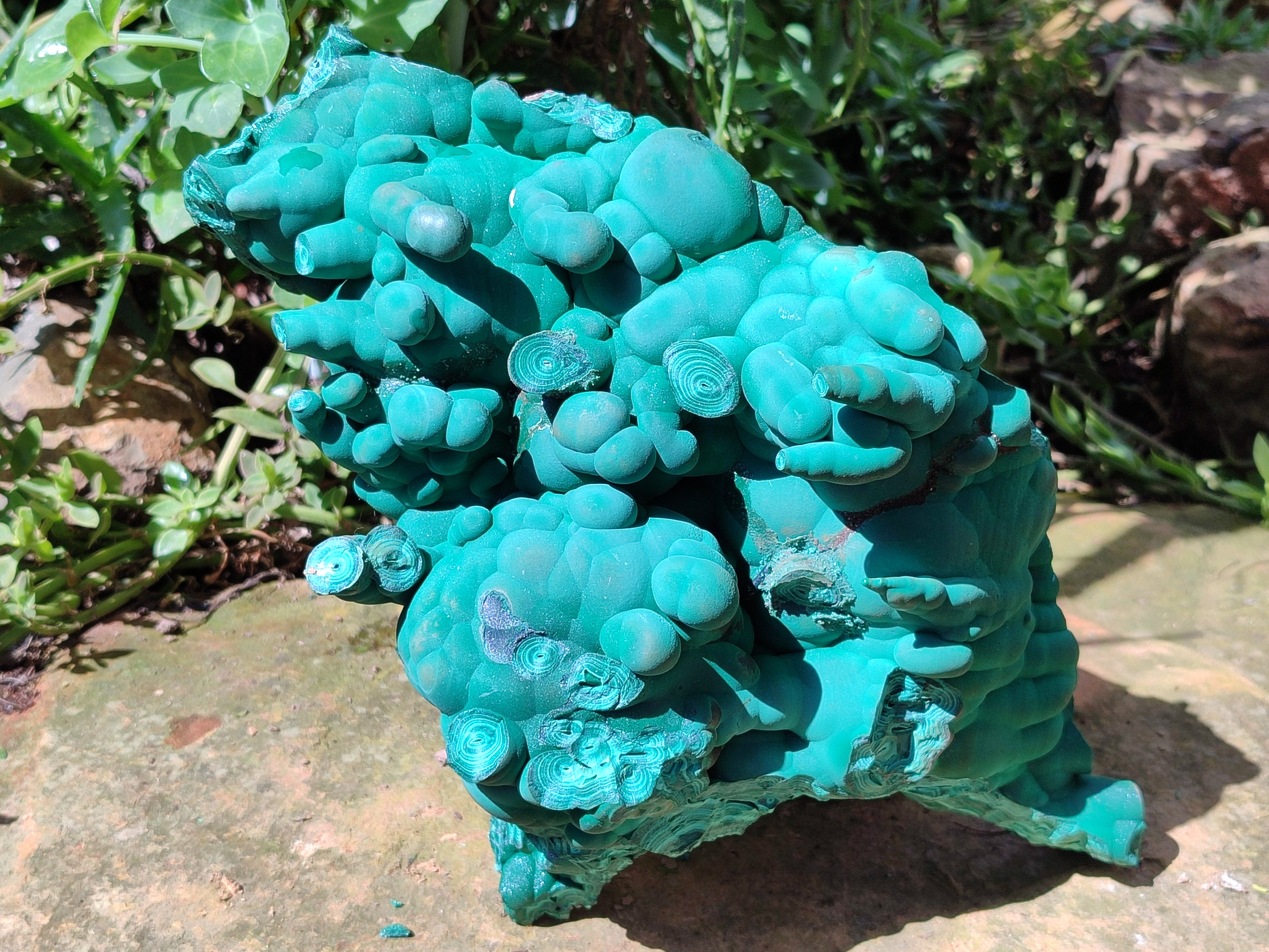 Natural Botryoidal Malachite Specimens x 1 From Congo - Toprock Gemstones and Minerals 