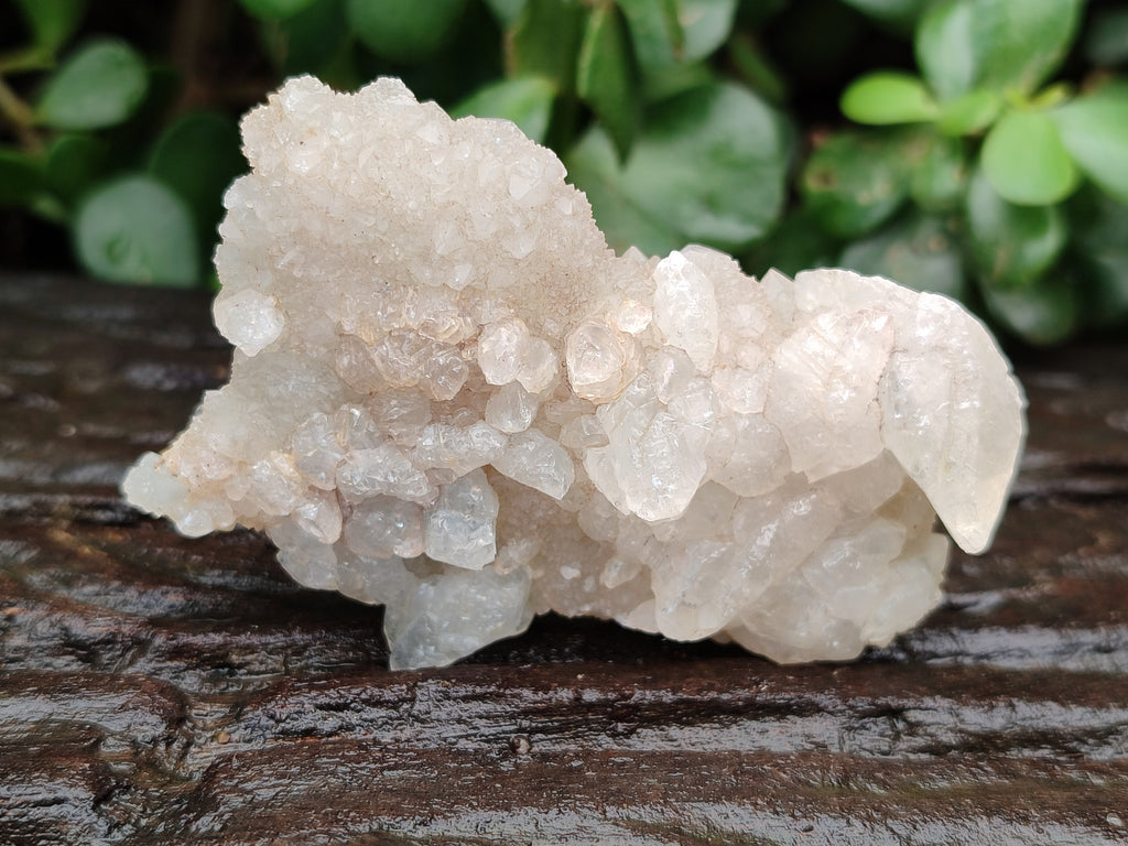 Natural Drusy Quartz Coated Calcite Pseudomorph Specimens x 12 From Alberts Mountain, Lesotho - Toprock Gemstones and Minerals 