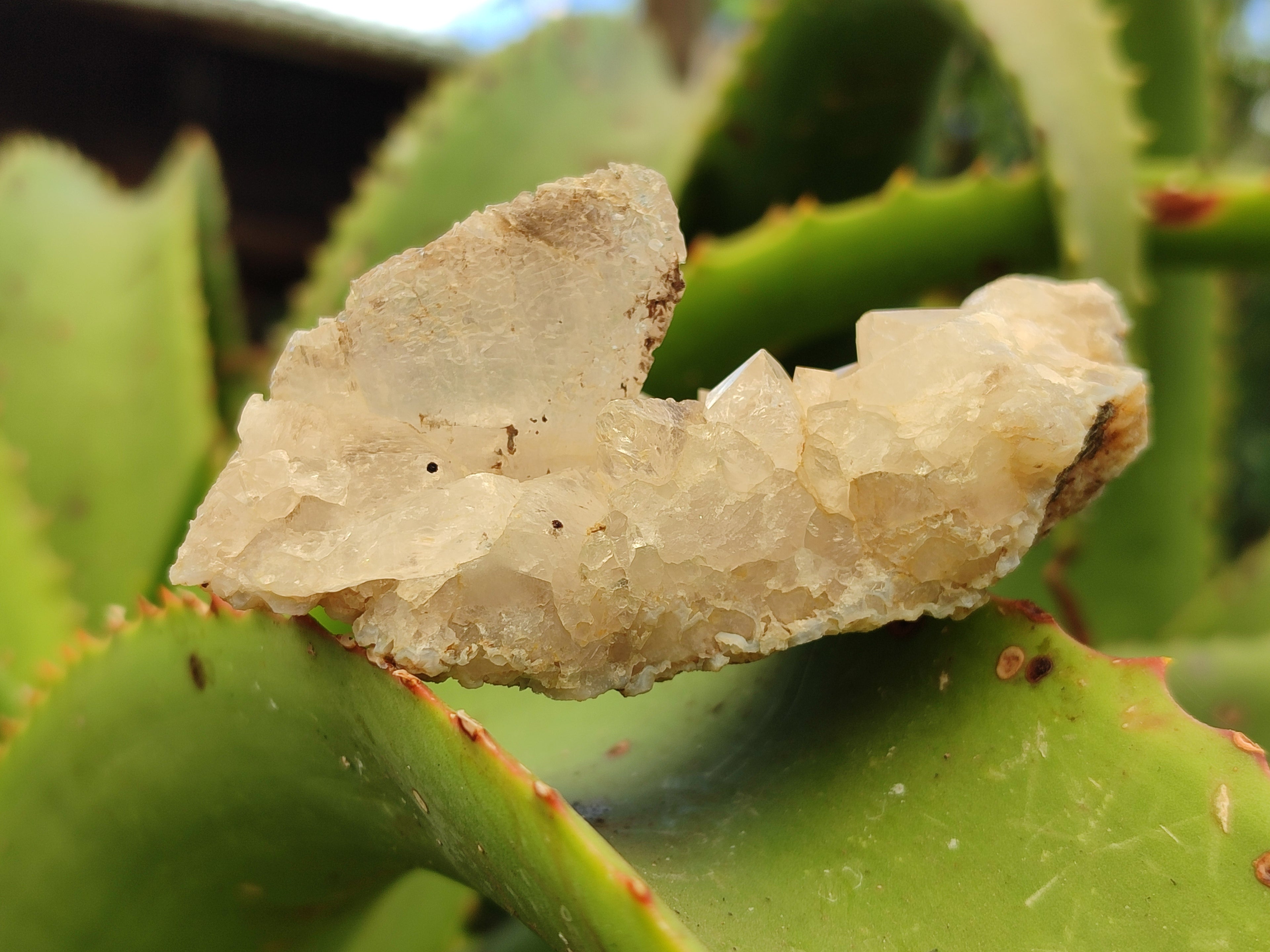 Natural Drusy Quartz Coated Calcite Pseudomorph Specimens x 12 From Alberts Mountain, Lesotho - Toprock Gemstones and Minerals 