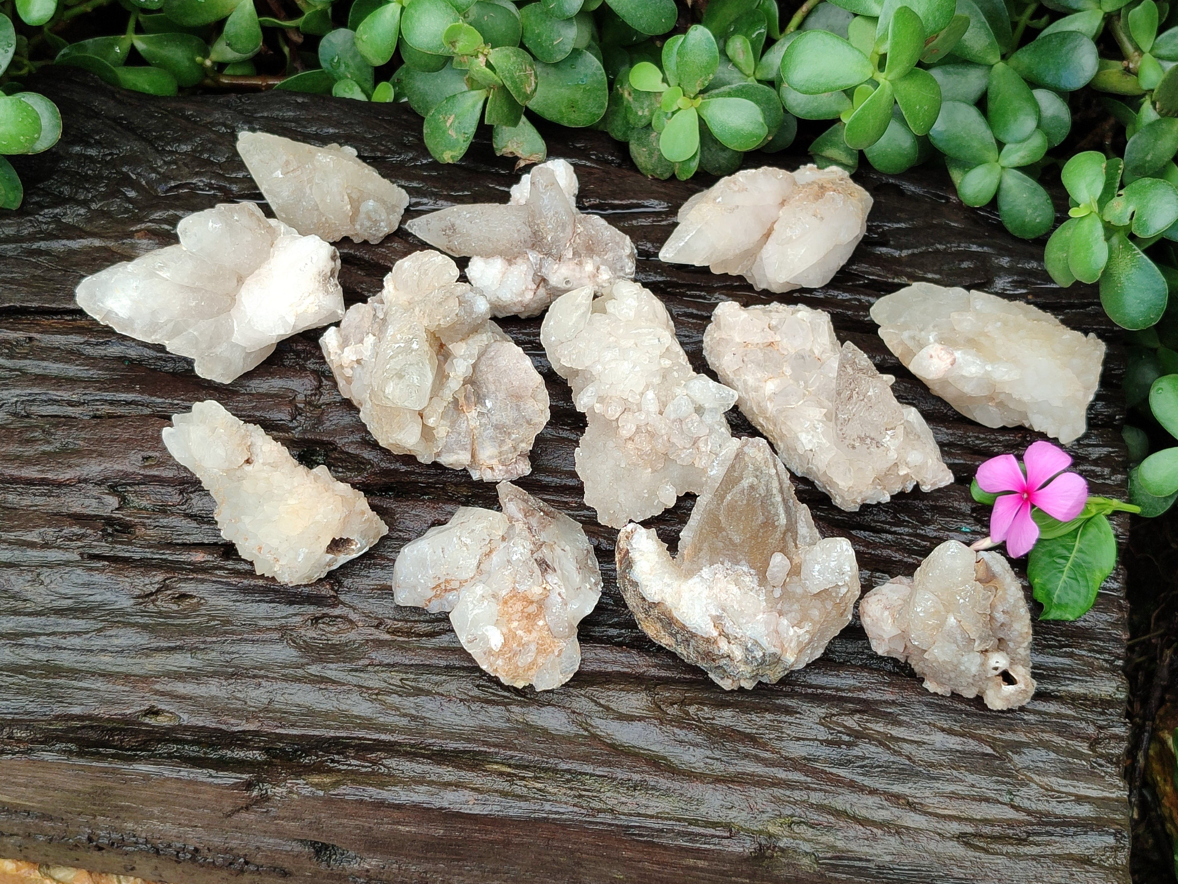 Natural Drusy Quartz Coated Calcite Pseudomorph Specimens x 12 From Alberts Mountain, Lesotho - Toprock Gemstones and Minerals 