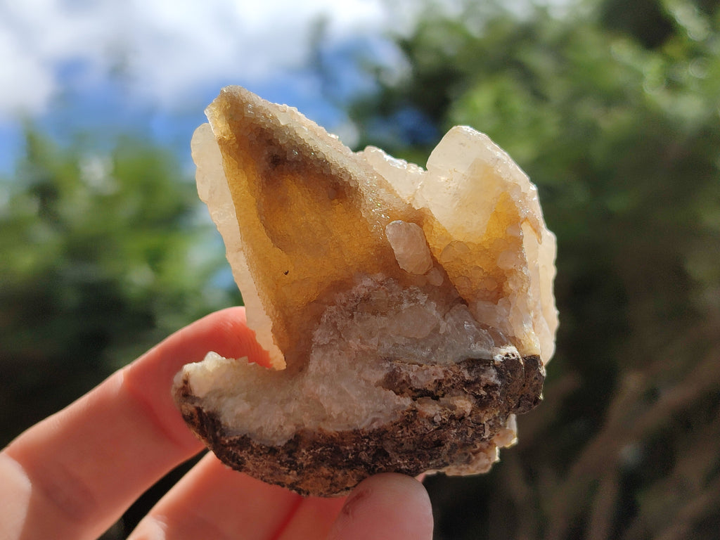 Natural Drusy Quartz Coated Calcite Pseudomorph Specimens x 12 From Alberts Mountain, Lesotho - Toprock Gemstones and Minerals 