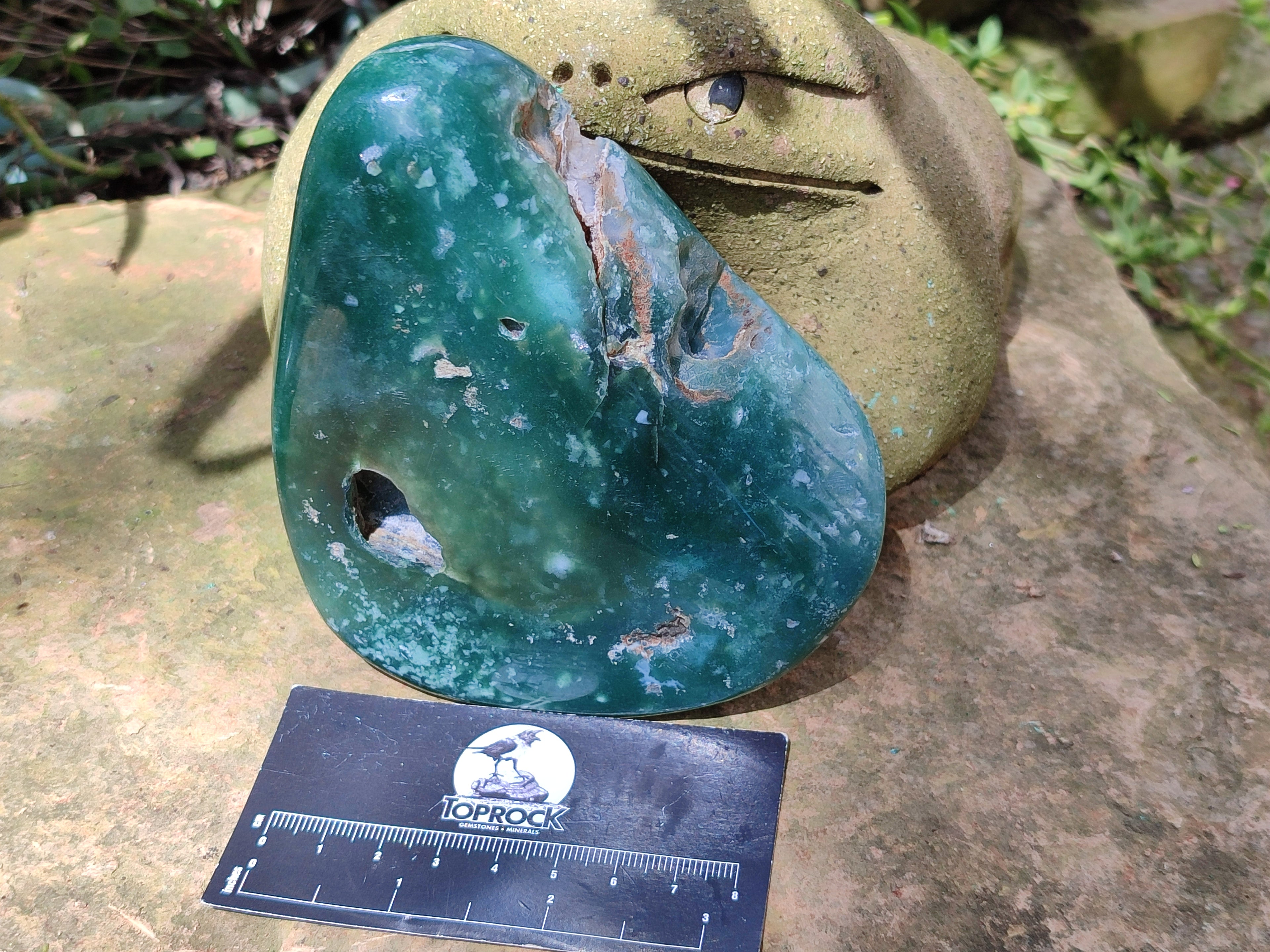 Polished Emerald Mtorolite Free Forms x 3 From Mutorashanga, Zimbabwe - Toprock Gemstones and Minerals 