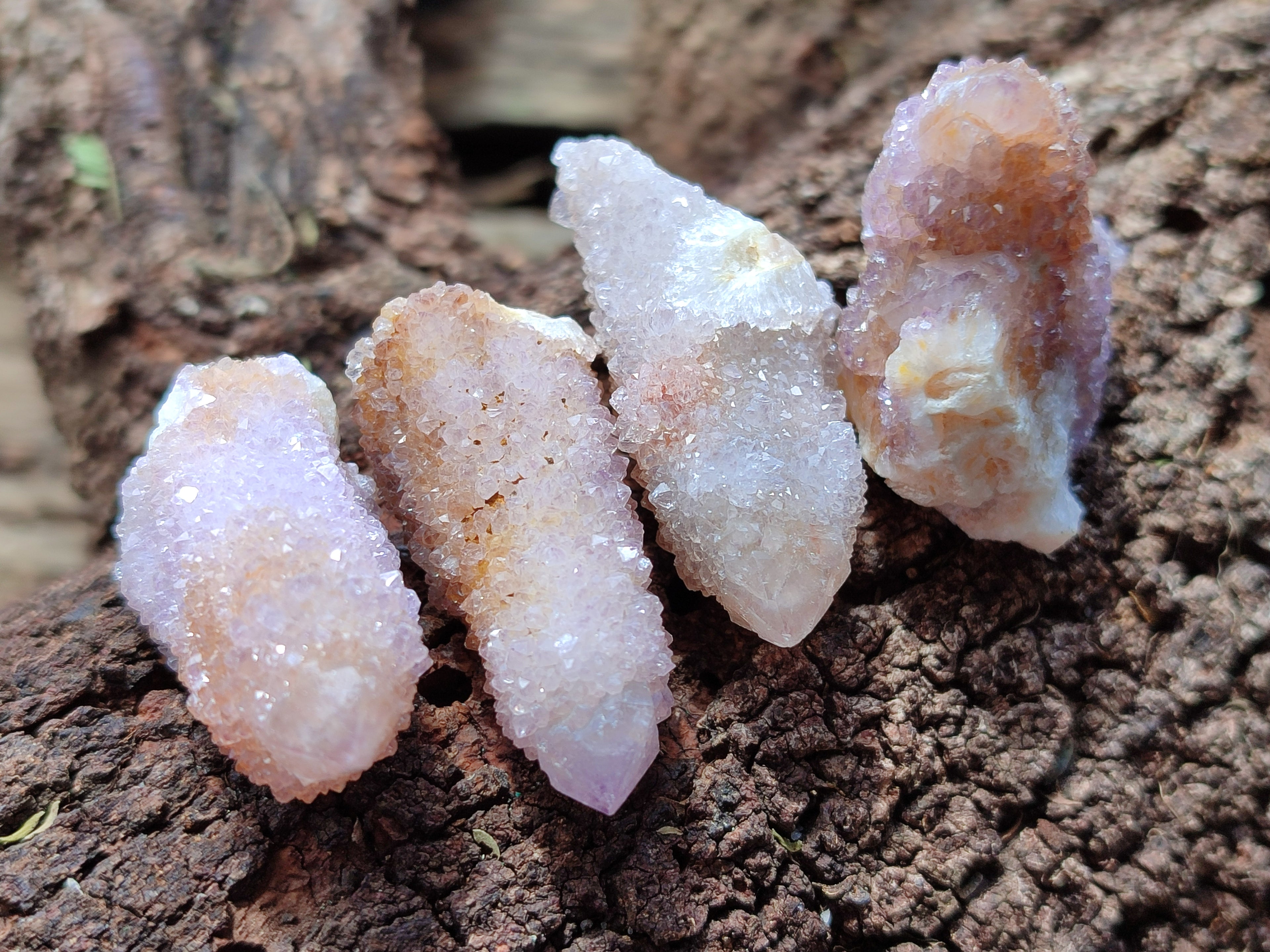 Natural Mixed Smokey Amethyst Spirit Quartz Clusters x 35 From Boekenhouthoek, South Africa - Toprock Gemstones and Minerals 