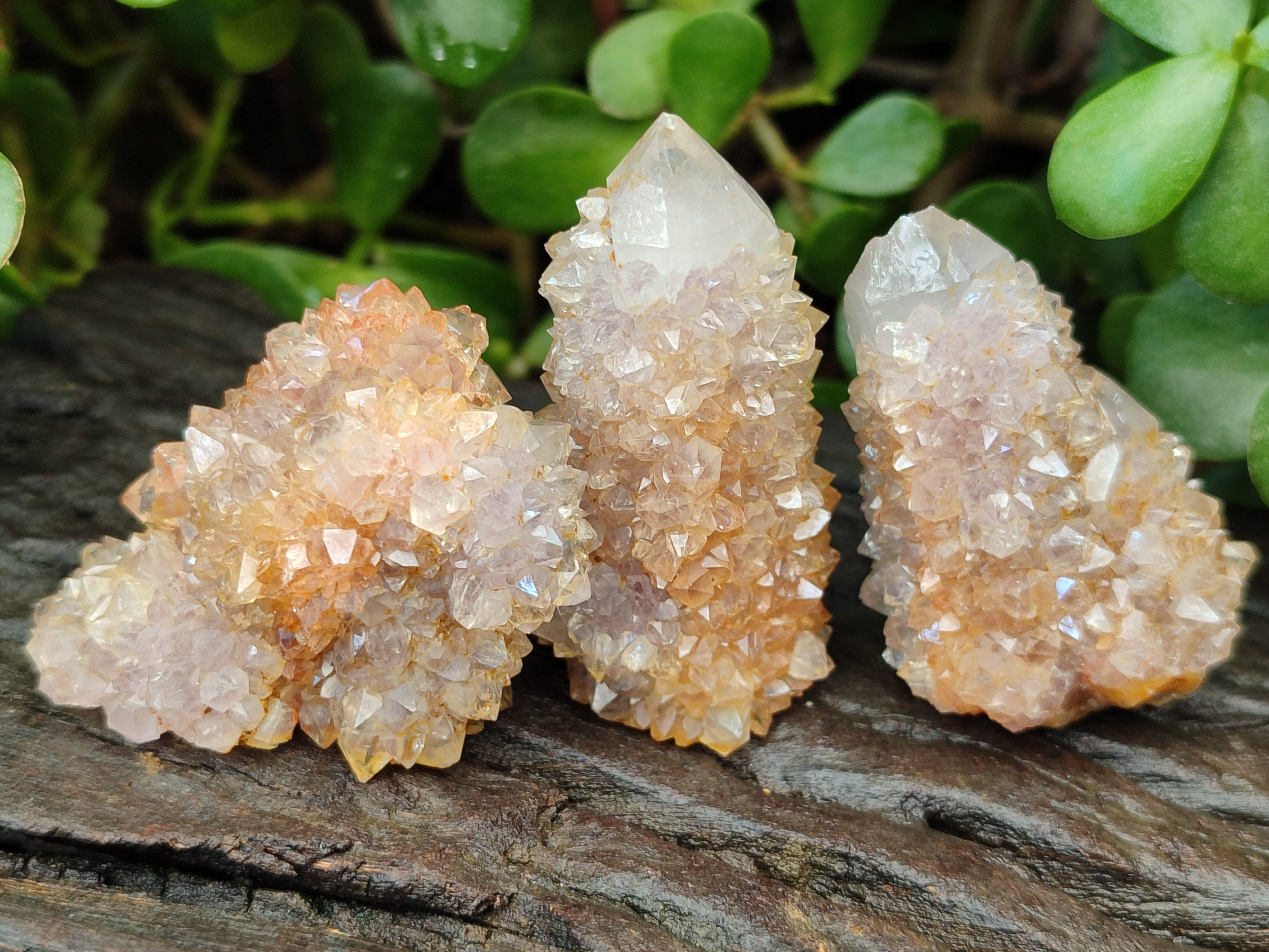 Natural Mixed Smokey Amethyst Spirit Quartz Clusters x 35 From Boekenhouthoek, South Africa - Toprock Gemstones and Minerals 