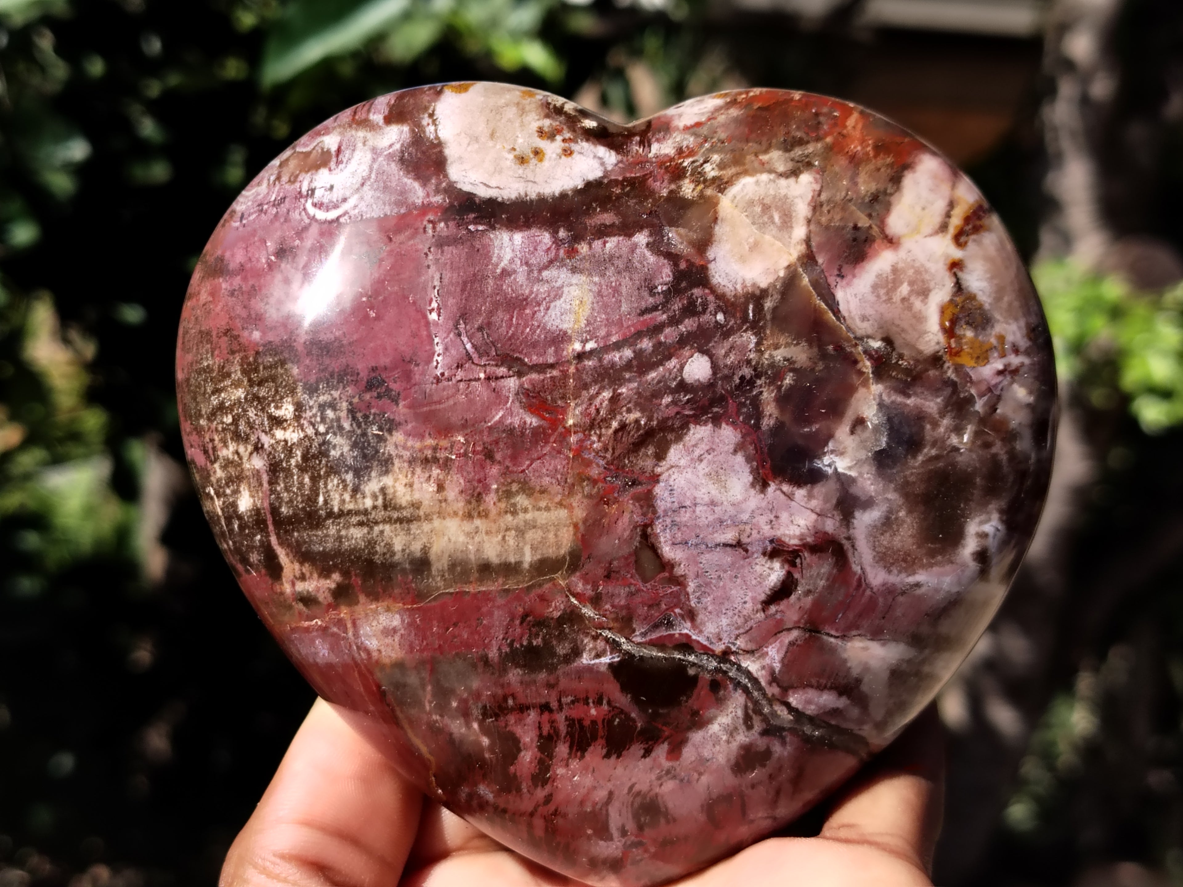 Polished Podocarpus Petrified Wood Hearts x 2 From Mahajanga, Madagascar - Toprock Gemstones and Minerals 