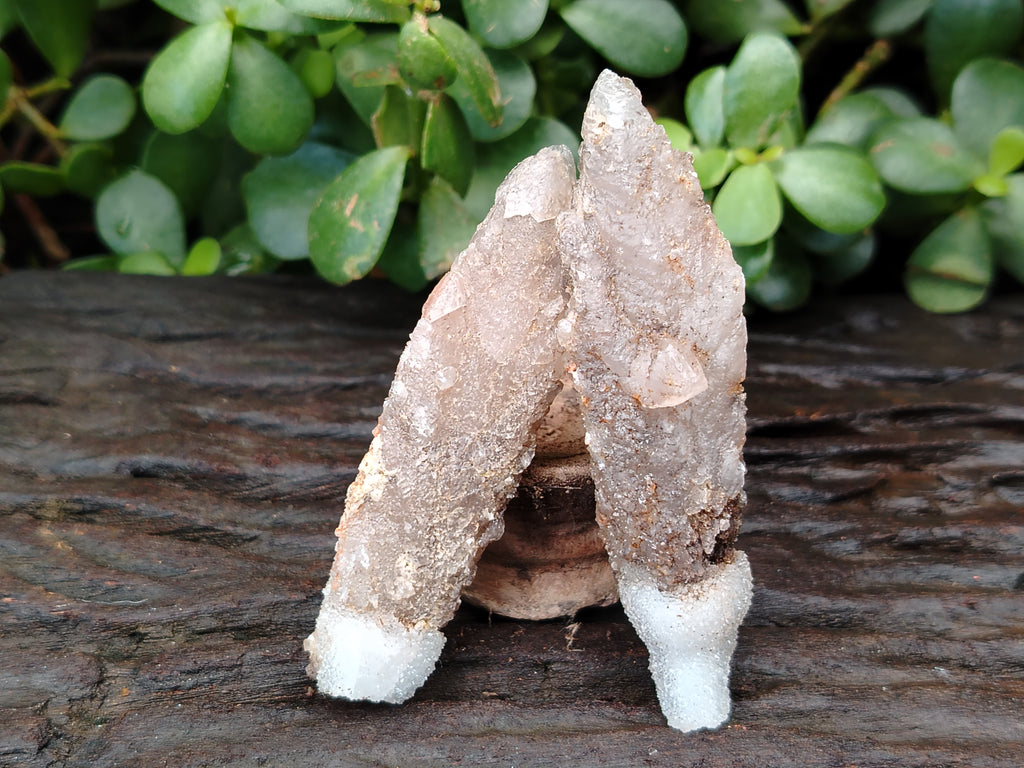 Natural Drusy Quartz Coated Calcite Pseudomorph Specimens x 12 From Lesotho - Toprock Gemstones and Minerals 