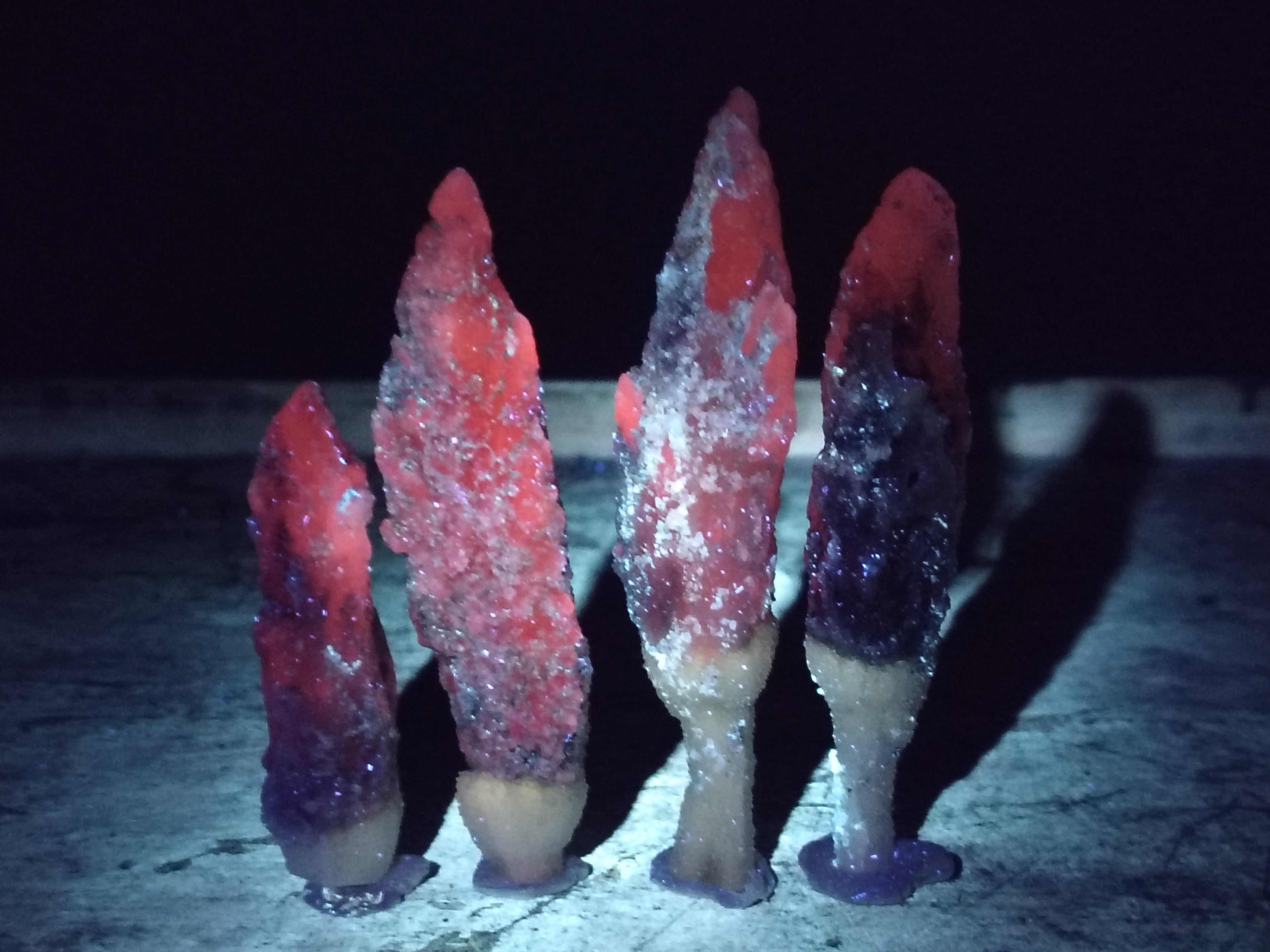 Natural Drusy Quartz Coated Calcite Pseudomorph Specimens x 12 From Lesotho - Toprock Gemstones and Minerals 