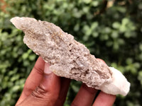Natural Drusy Quartz Coated Calcite Pseudomorph Specimens x 12 From Lesotho - Toprock Gemstones and Minerals 