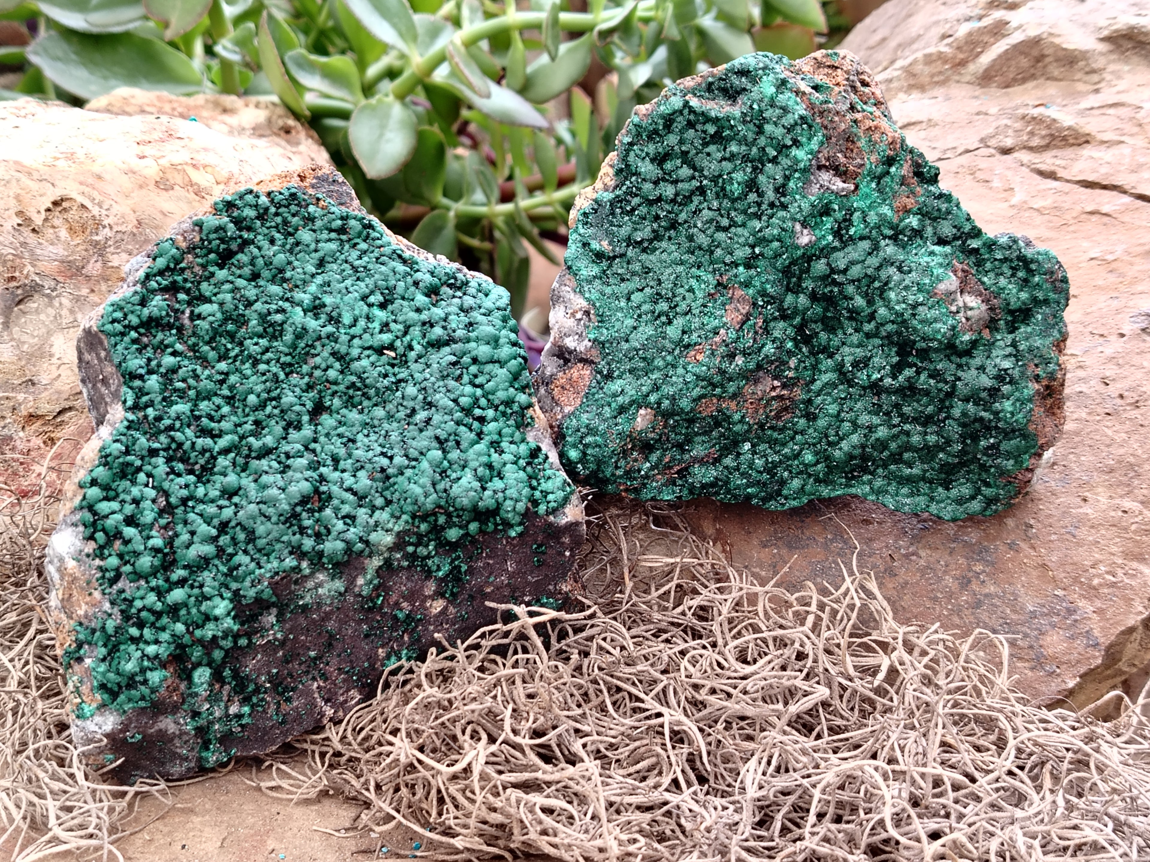 Natural Botryoidal Malachite Specimens x 2 From Congo - Toprock Gemstones and Minerals 
