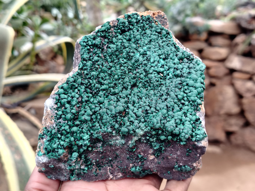 Natural Botryoidal Malachite Specimens x 2 From Congo - Toprock Gemstones and Minerals 