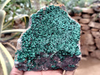 Natural Botryoidal Malachite Specimens x 2 From Congo - Toprock Gemstones and Minerals 