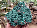 Natural Botryoidal Malachite Specimens x 2 From Congo - Toprock Gemstones and Minerals 