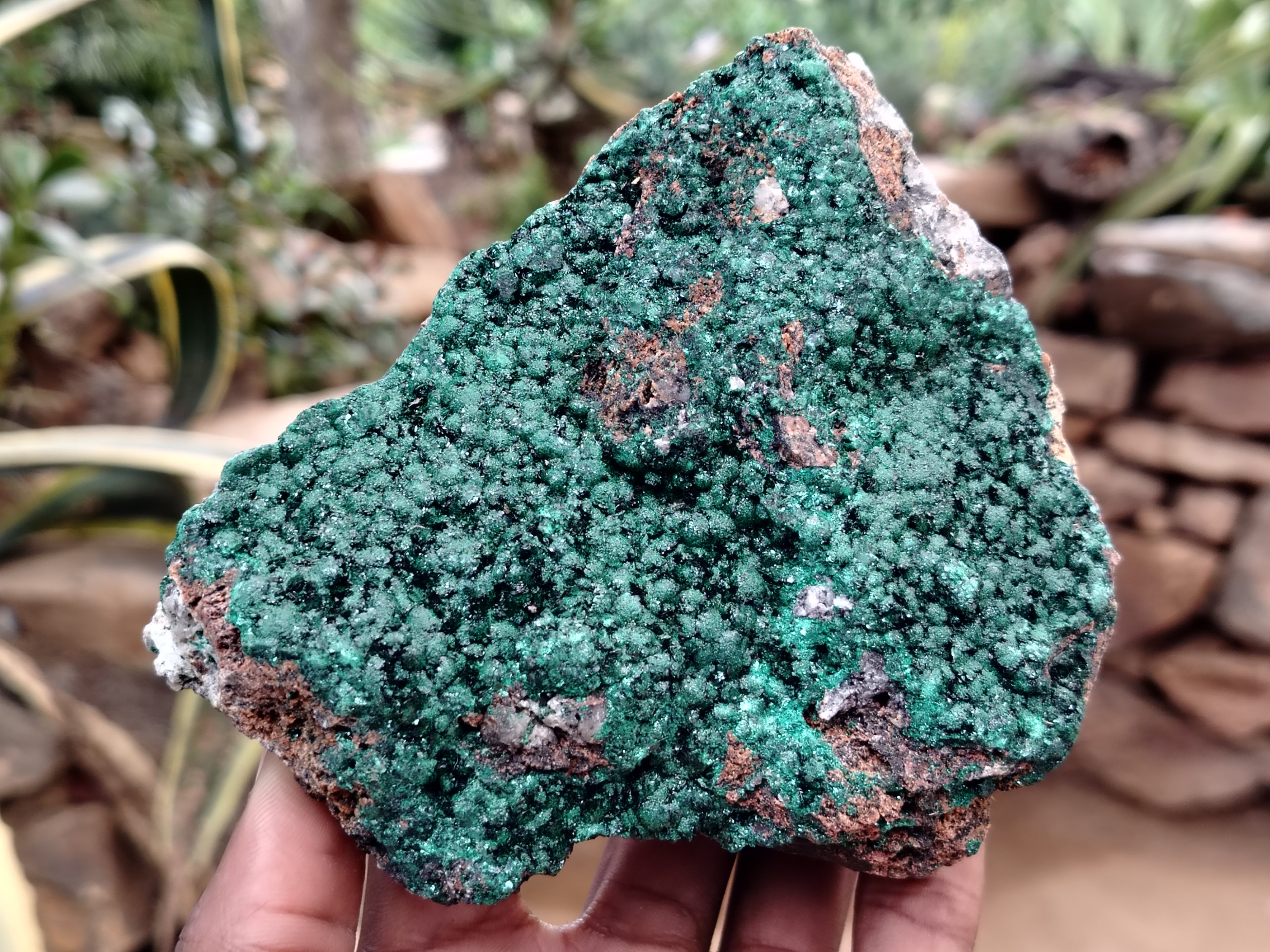 Natural Botryoidal Malachite Specimens x 2 From Congo - Toprock Gemstones and Minerals 