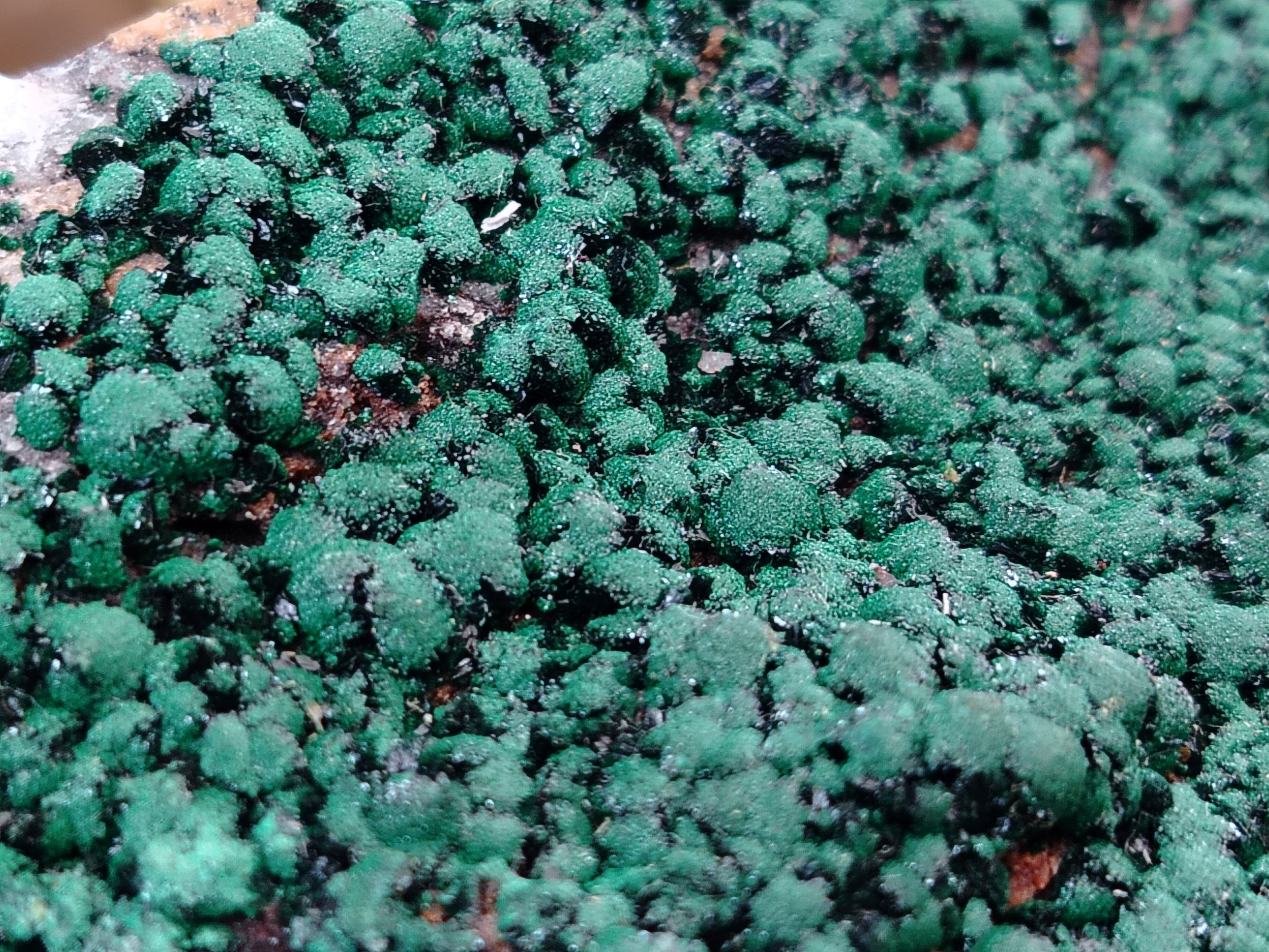 Natural Botryoidal Malachite Specimens x 2 From Congo - Toprock Gemstones and Minerals 