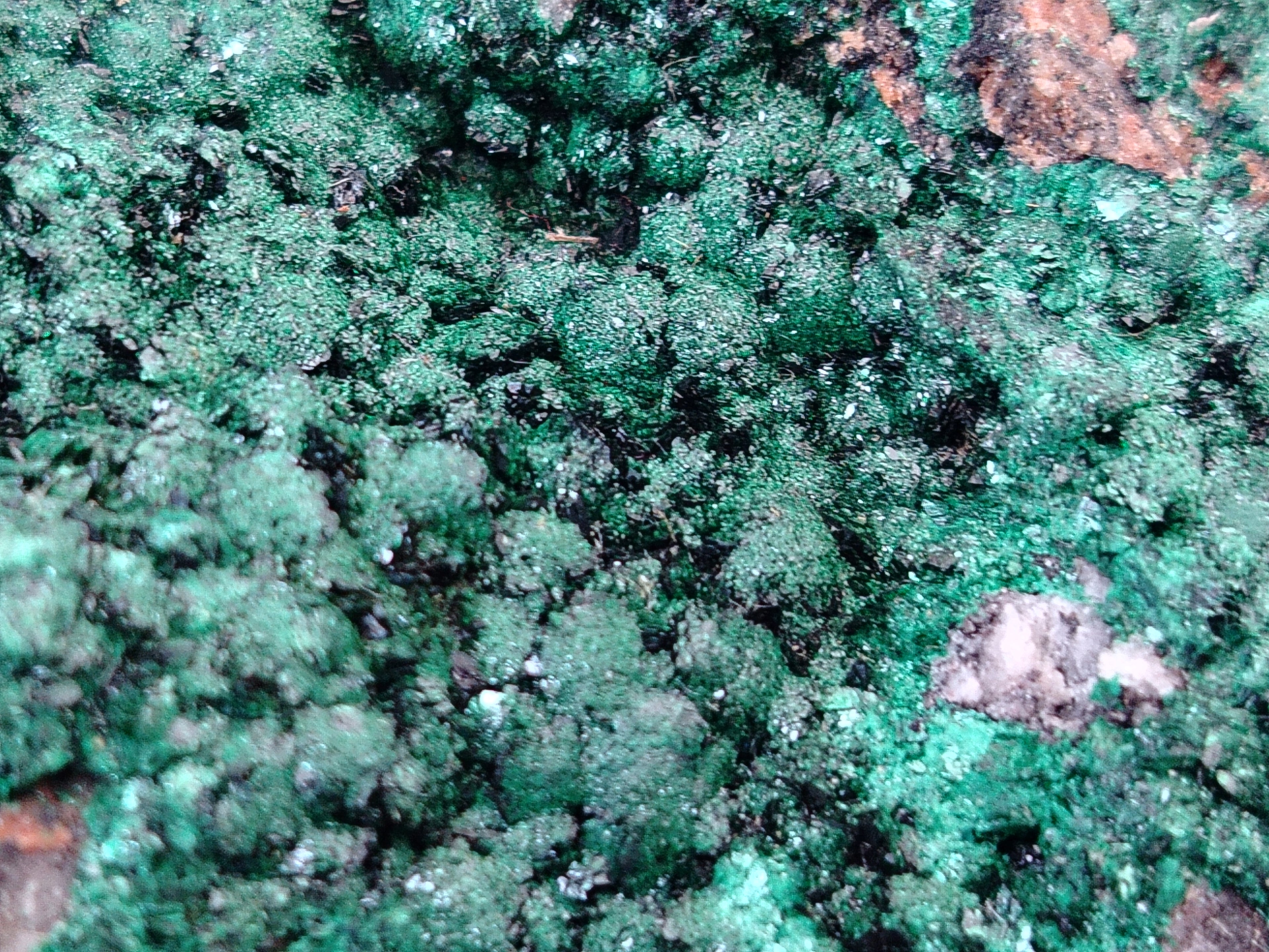 Natural Botryoidal Malachite Specimens x 2 From Congo - Toprock Gemstones and Minerals 