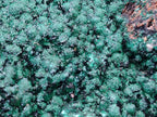 Natural Botryoidal Malachite Specimens x 2 From Congo - Toprock Gemstones and Minerals 