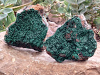 Natural Botryoidal Malachite Specimens x 2 From Congo - Toprock Gemstones and Minerals 