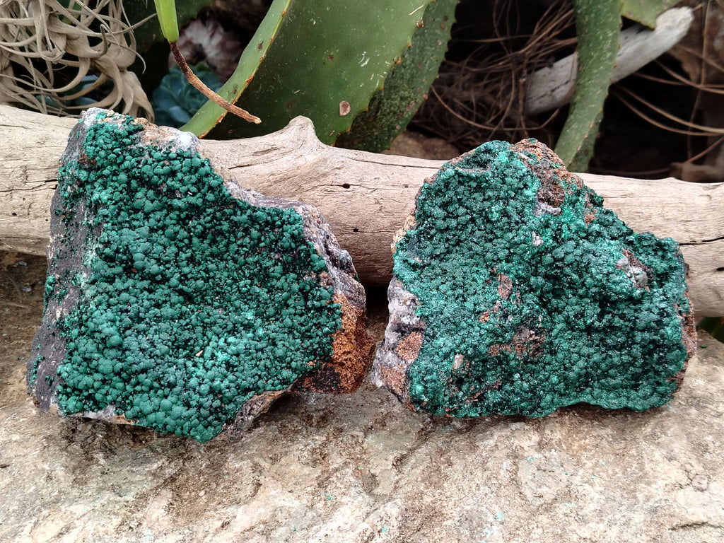 Natural Botryoidal Malachite Specimens x 2 From Congo - Toprock Gemstones and Minerals 