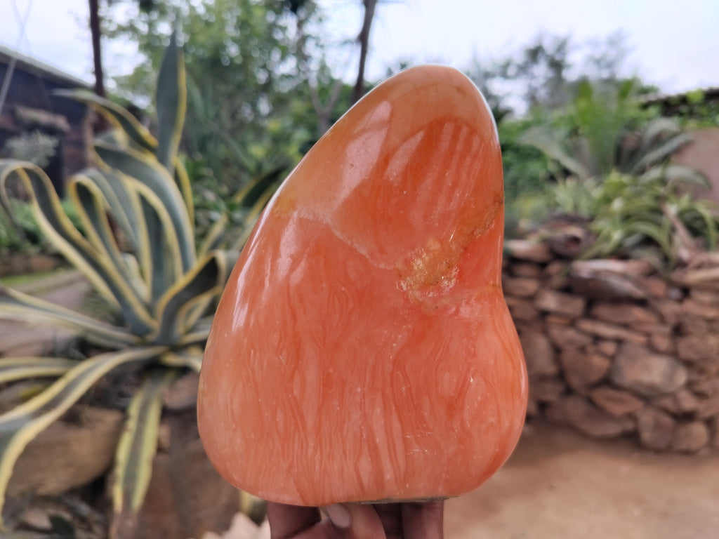 Polished Orange Twist Calcite Standing Free Forms x 2 From Madagascar - Toprock Gemstones and Minerals 