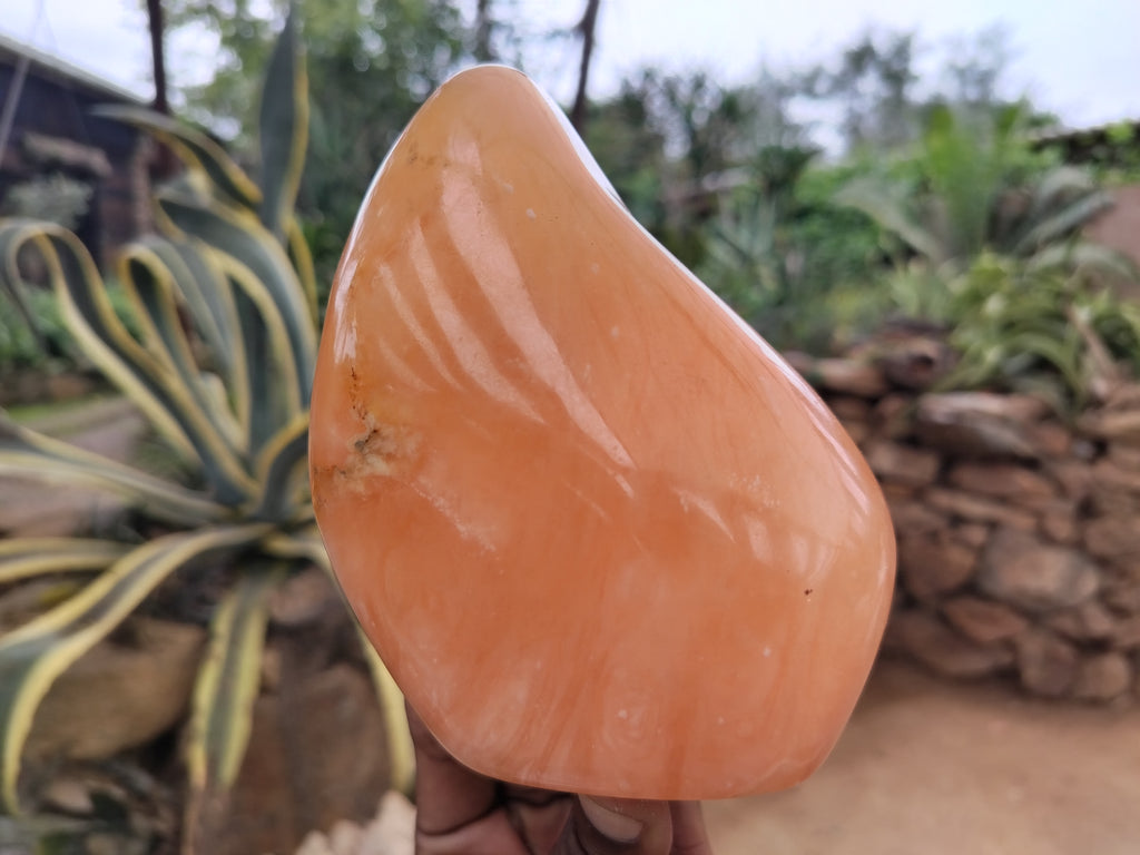 Polished Orange Twist Calcite Standing Free Forms x 2 From Madagascar - Toprock Gemstones and Minerals 