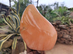 Polished Orange Twist Calcite Standing Free Forms x 2 From Madagascar - Toprock Gemstones and Minerals 