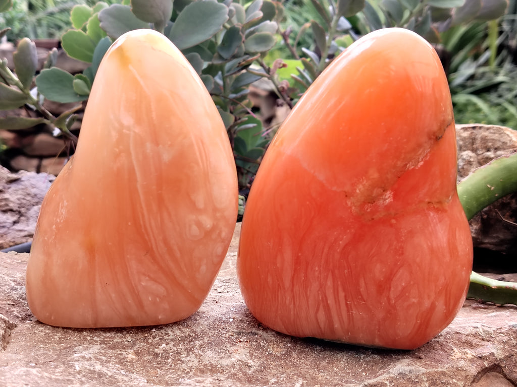 Polished Orange Twist Calcite Standing Free Forms x 2 From Madagascar - Toprock Gemstones and Minerals 