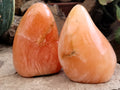 Polished Orange Twist Calcite Standing Free Forms x 2 From Madagascar - Toprock Gemstones and Minerals 