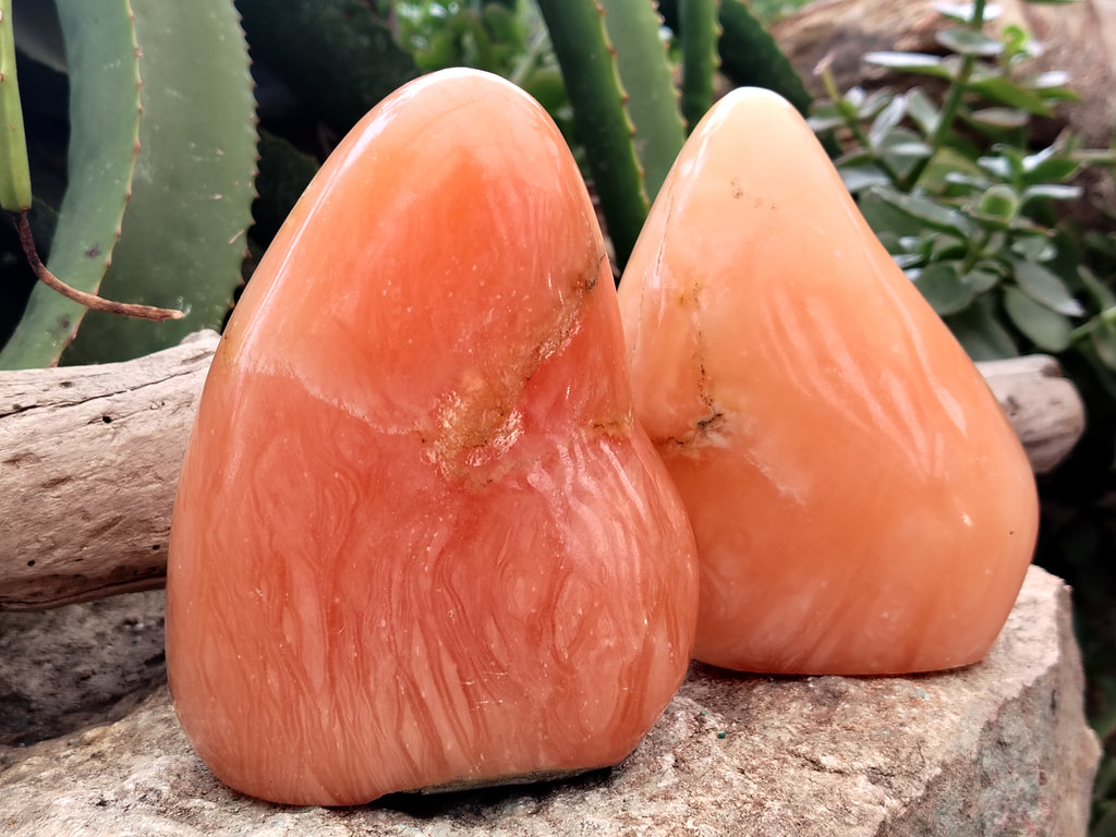 Polished Orange Twist Calcite Standing Free Forms x 2 From Madagascar - Toprock Gemstones and Minerals 