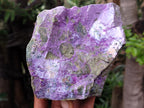 Natural Stichtite Cobbed Specimens x 3 From Barberton, South Africa - Toprock Gemstones and Minerals 